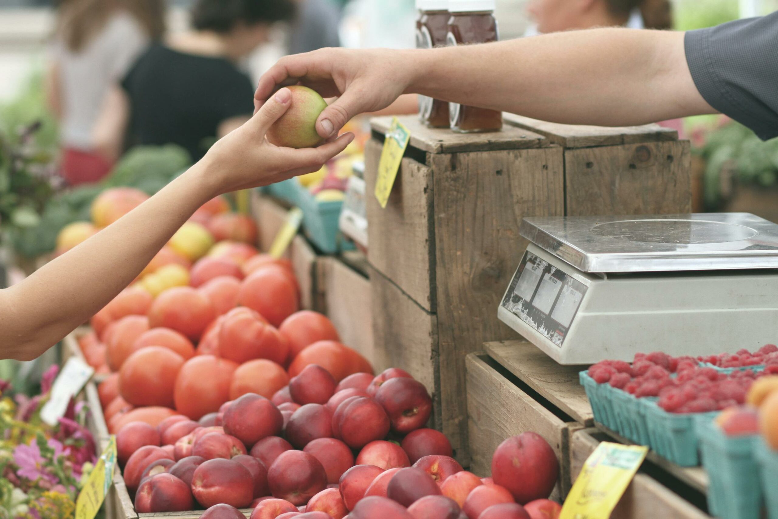 Agenda gourmand de septembre