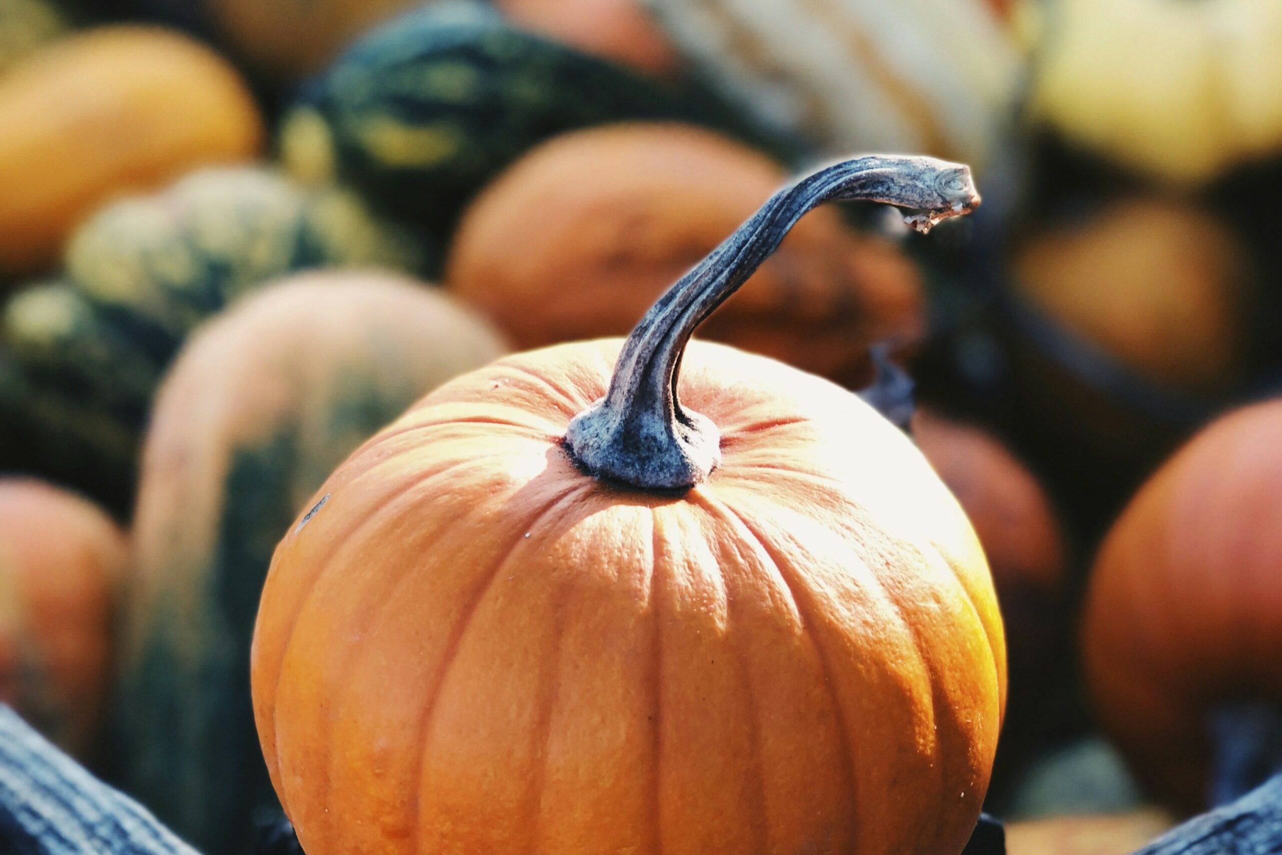 Agenda gourmand d’octobre